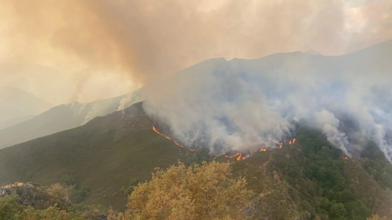 Incendio en el municipio de Oencia (León)