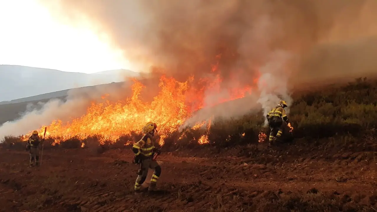 Brigadistas interviniendo durante un incendio.