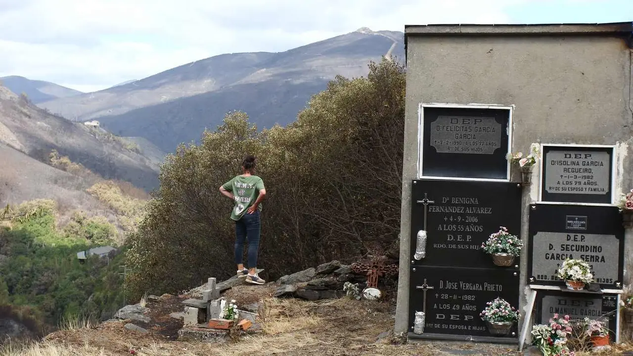 Efectos del incendio que ha afectado al municipio de Oencia (León)