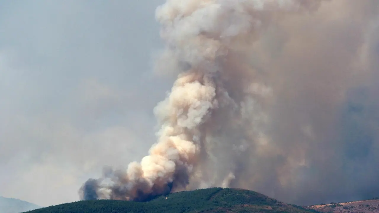 El PSOE de Le&oacute;n ha denunciado la exclusi&oacute;n de agricultores y ganaderos profesionales afectados por los incendios del pasado verano de las ayudas aprobadas por la Junta de Castilla y Le&oacute;n.
