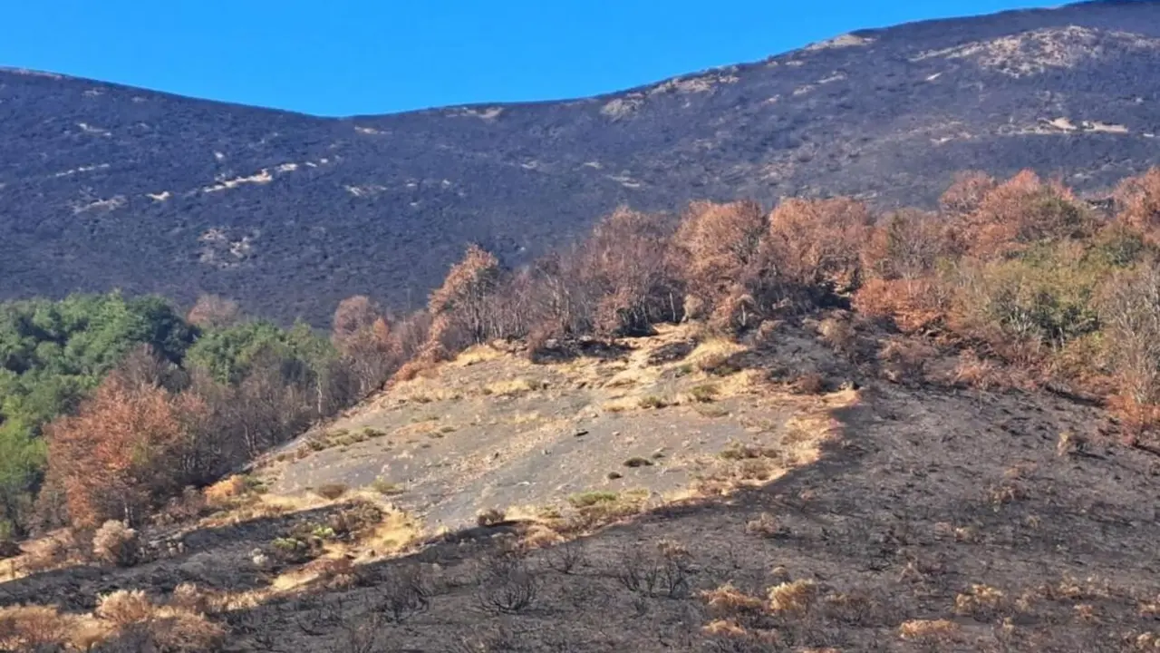 Efectos del incendio forestal en el parque nacional de Picos de Europa.