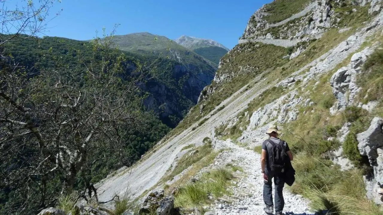 ruta