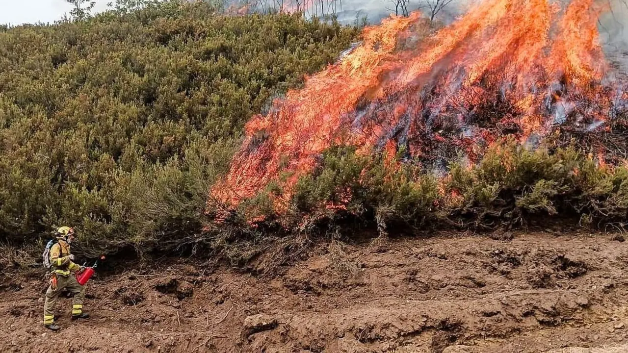 Un bombero forestal de la Comunidad de Madrid aplica fuego técnico para frenar el incendio de Igüeña en León. Foto: BBFFMadrid