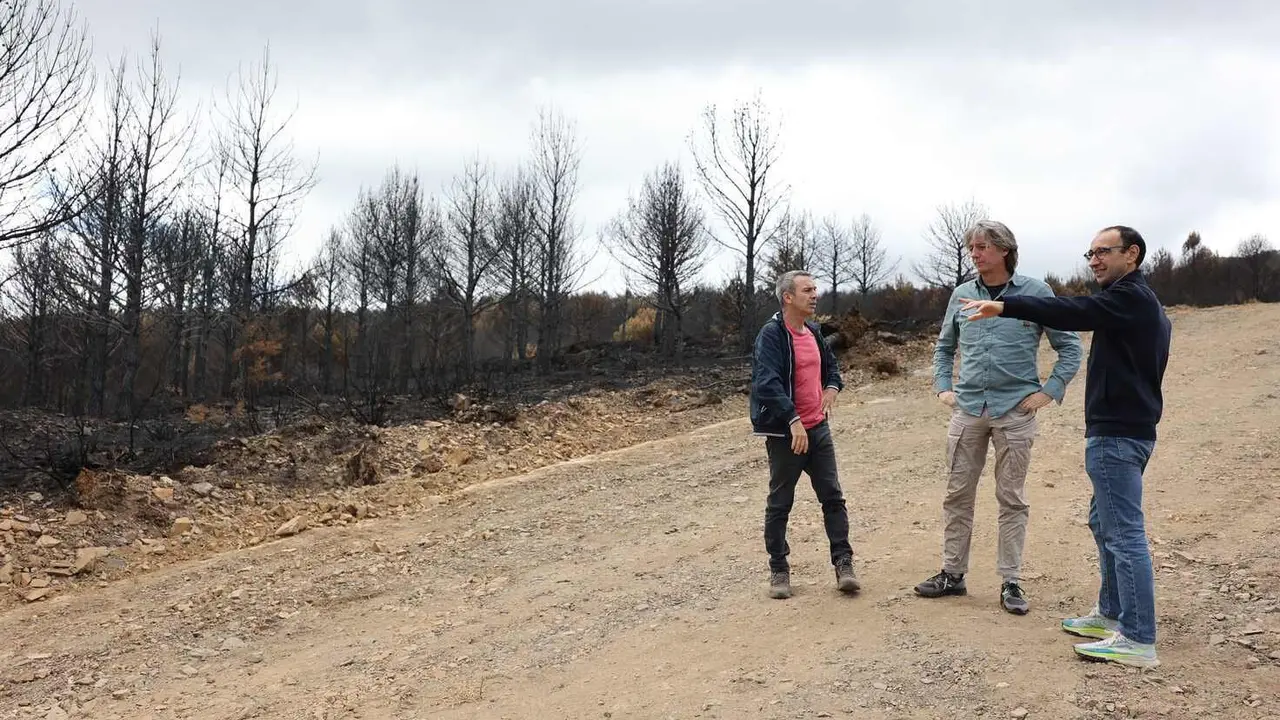 El secretario general del PSOE de Castilla y León, Carlos Martínez, visita La Alberca, una de las zonas afectadas por los incendios