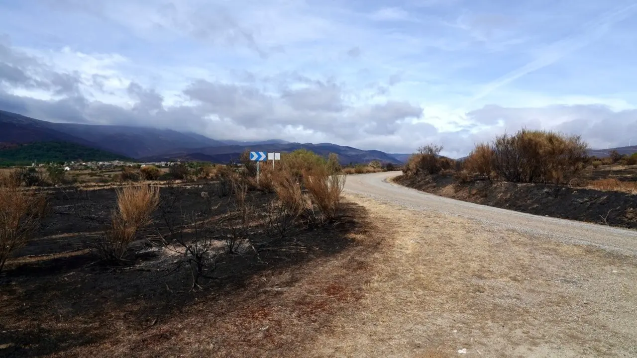 La consejera de Agricultura, Ganadería y Desarrollo Rural, María González Corral, visita una ganadería de ovino afectada por los incendios en Chana de Somoza, en el municipio de Lucillo (León)