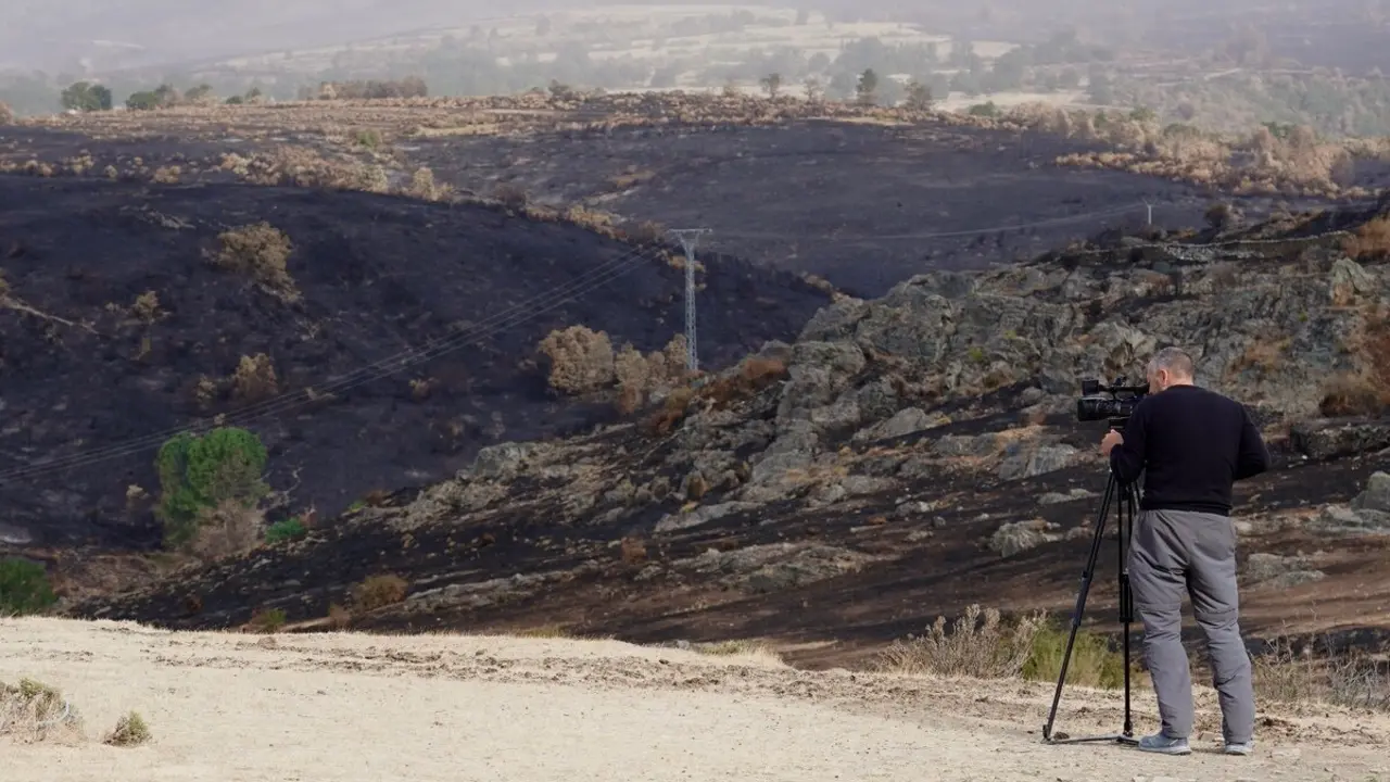 La consejera de Agricultura, Ganadería y Desarrollo Rural, María González Corral, visita una ganadería de ovino afectada por los incendios en Chana de Somoza, en el municipio de Lucillo (León)