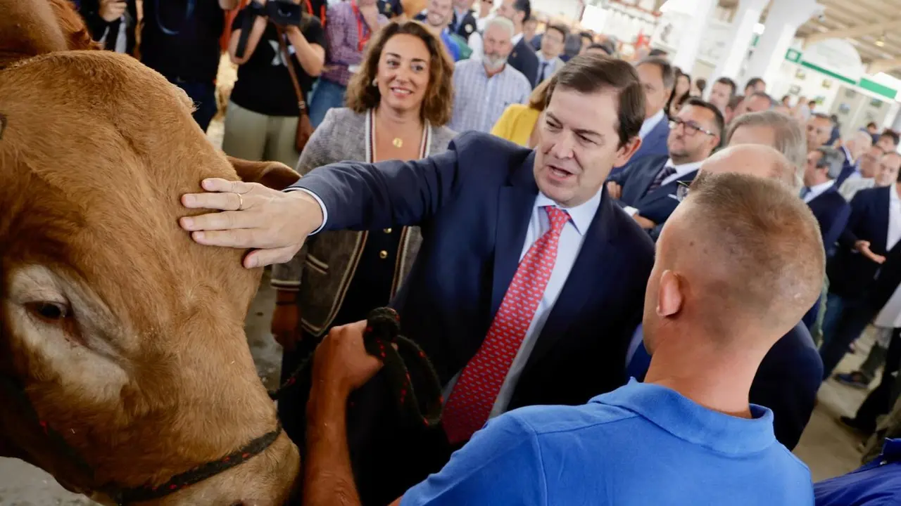 El presidente de la Junta de Castilla y León, Alfonso Fernández Mañueco, junto con el presidente de la Diputación de Salamanca, Javier Iglesias, inaugura Salamaq 2025, la Feria del Sector Agropecuario y 36 Exposición Internacional de Ganado Puro, que se celebra del 4 al 8 de septiembre. Fotos: Susana Martín