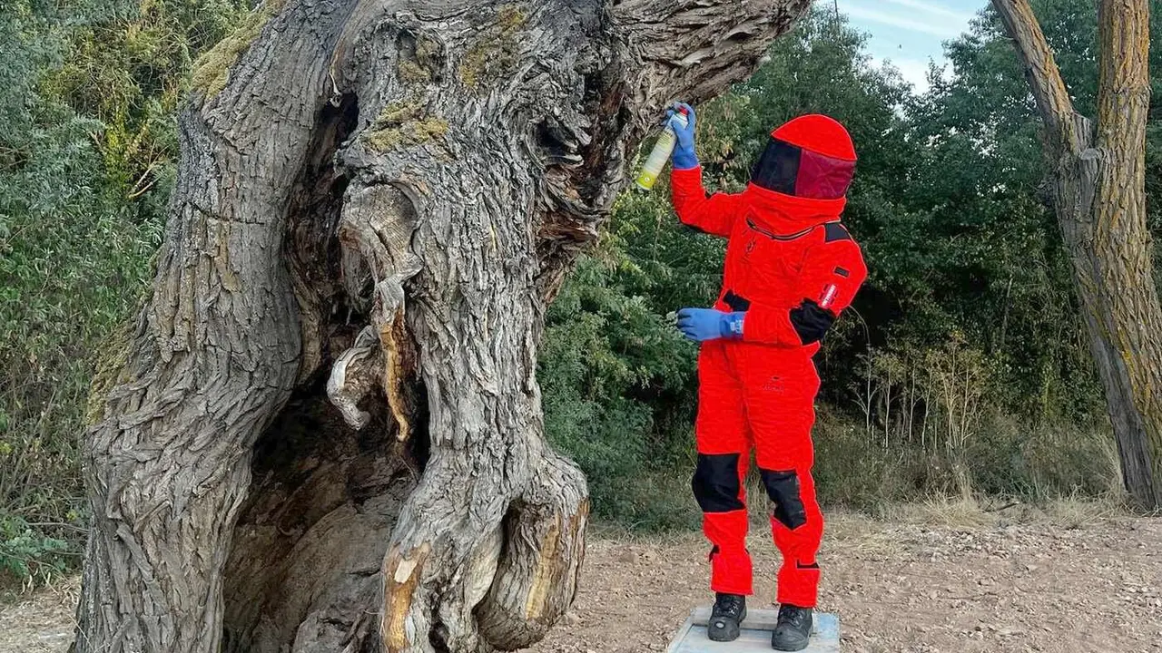 Los Bomberos de la Diputación de León (Sepeis) han intervenido en varios puntos de la provincia durante el fin de semana. Incendios, nidos de cigüeña y velutina y fuegos de pasto marcaron una intensa actividad para los parques de Celada, Cistierna y Valencia de Don Juan.