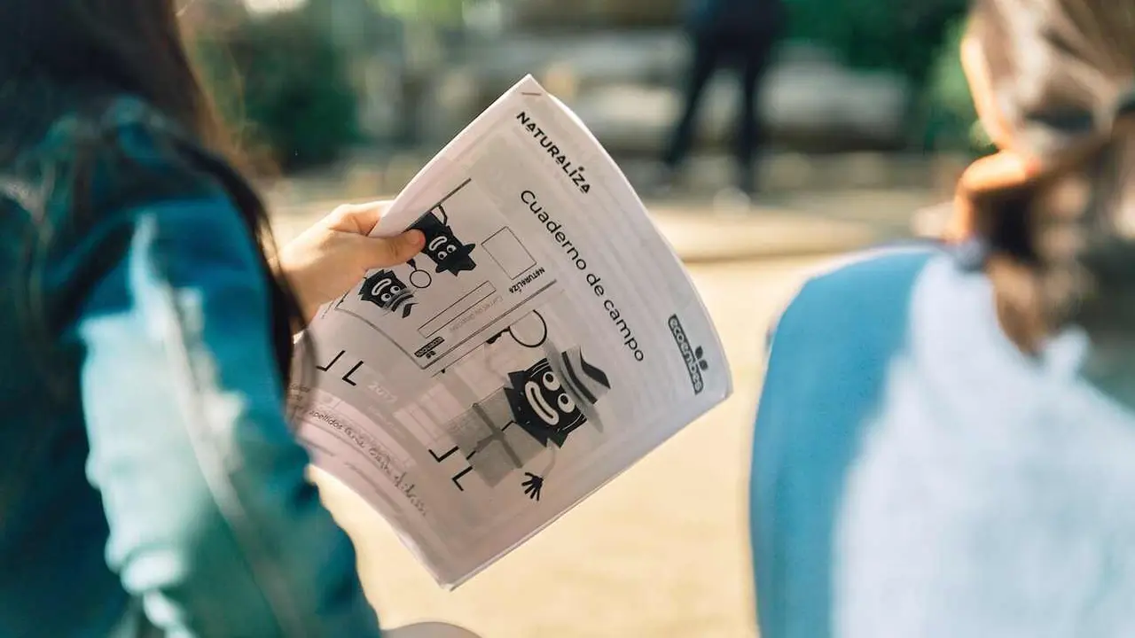 Más de 3.200 profesores se han sumado al programa de Ecoembes en sus siete años de trayectoria, con 493 docentes y 272 centros participantes en Castilla y León el pasado curso.