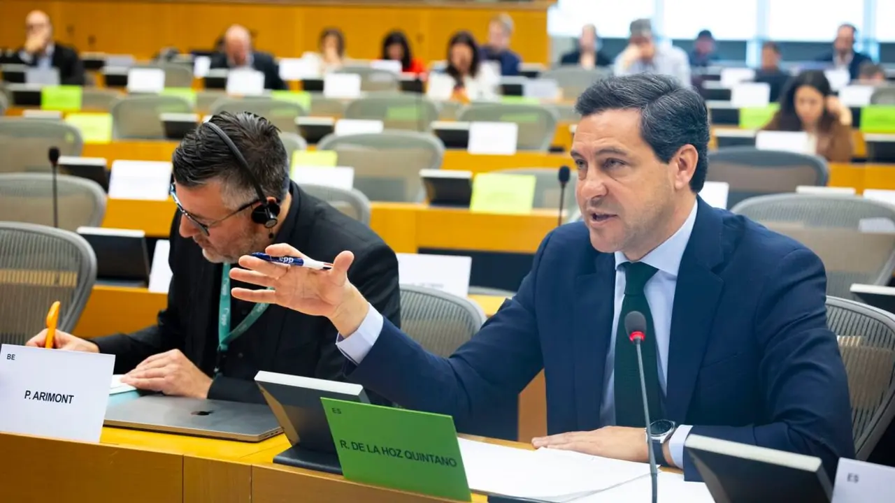 El eurodiputado Raúl de la Hoz Quintano interviene durante la audiencia "Desafíos de la despoblación en las regiones europeas" en el Parlamento Europeo.