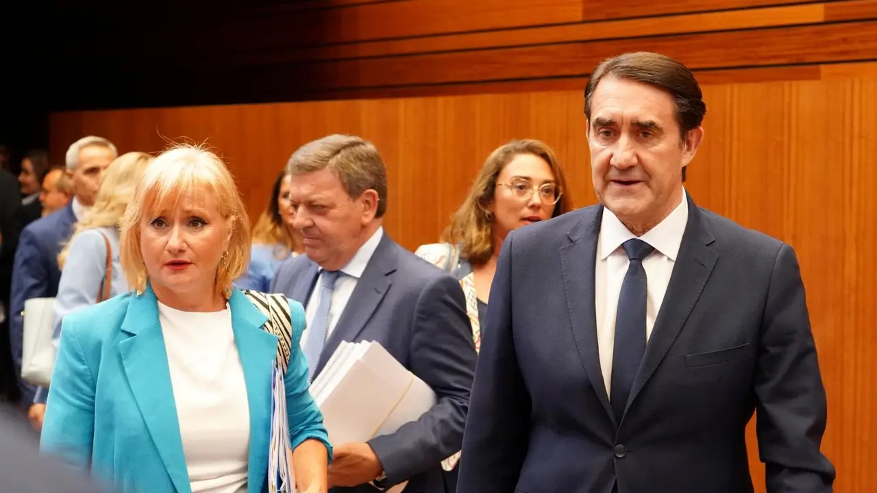 Pleno Cortes (19)