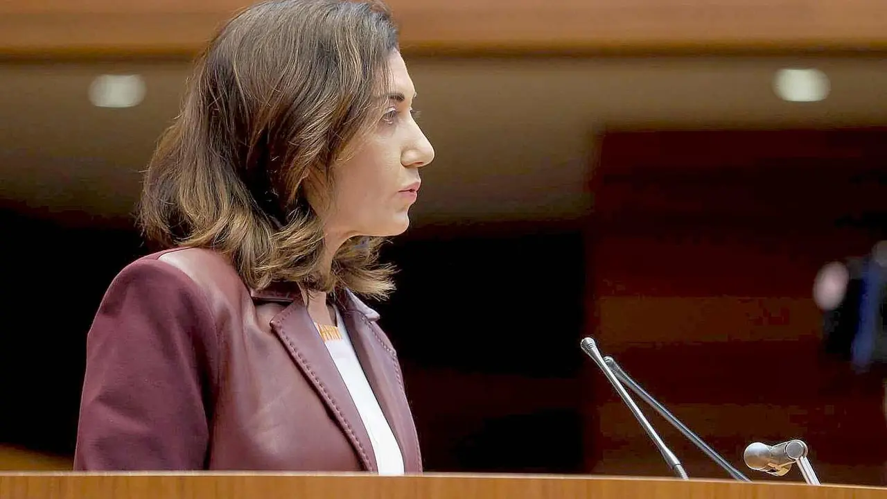 La procuradora de UPL, Alicia Gallego.