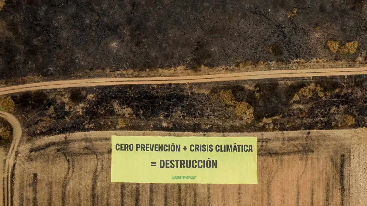 Pancarta desplegada por Greenpeace