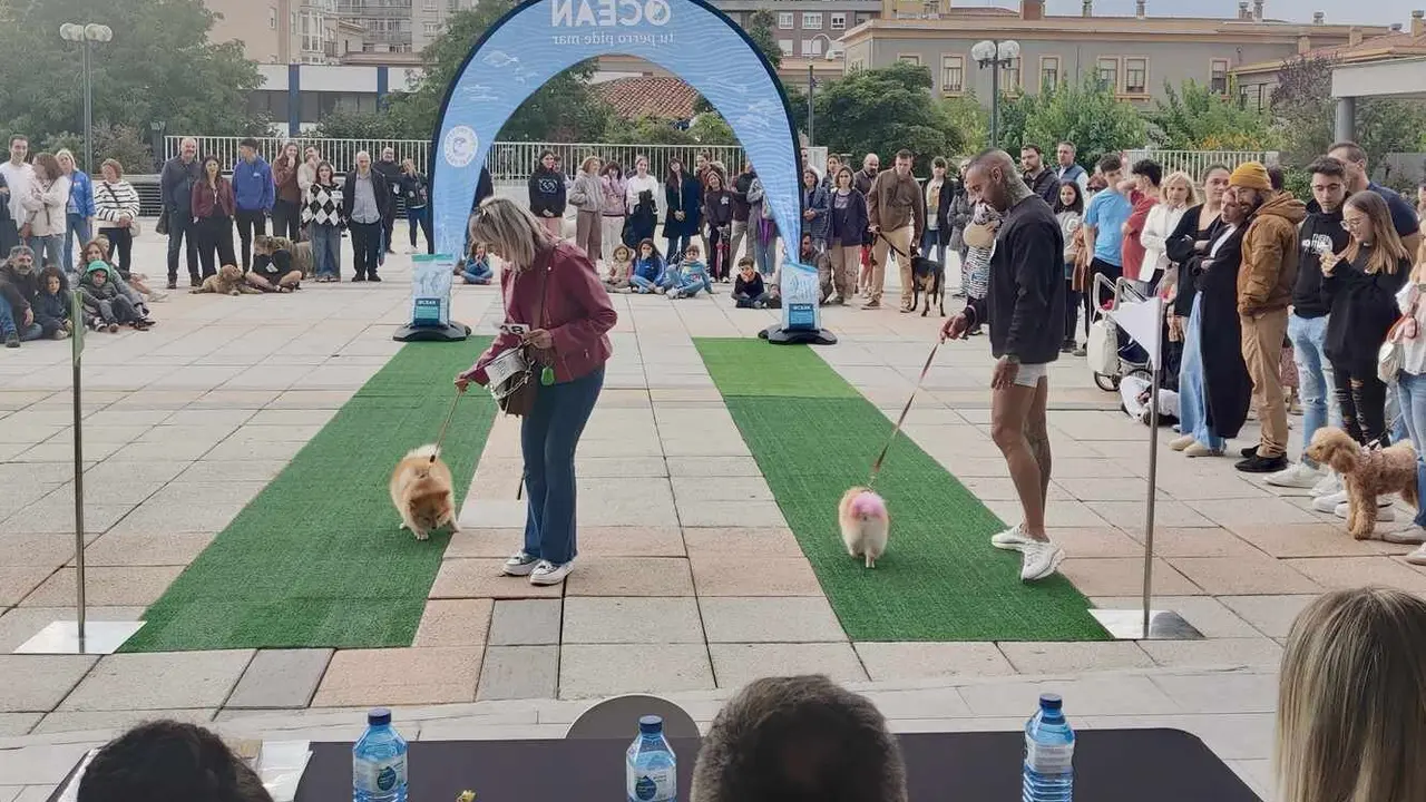 El Corte Inglés celebra el Día de las Mascotas con actividades y adopciones en León.