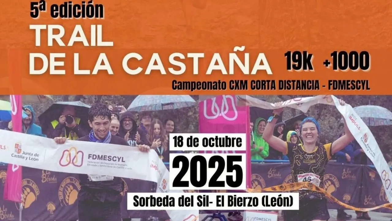 castaña 1
