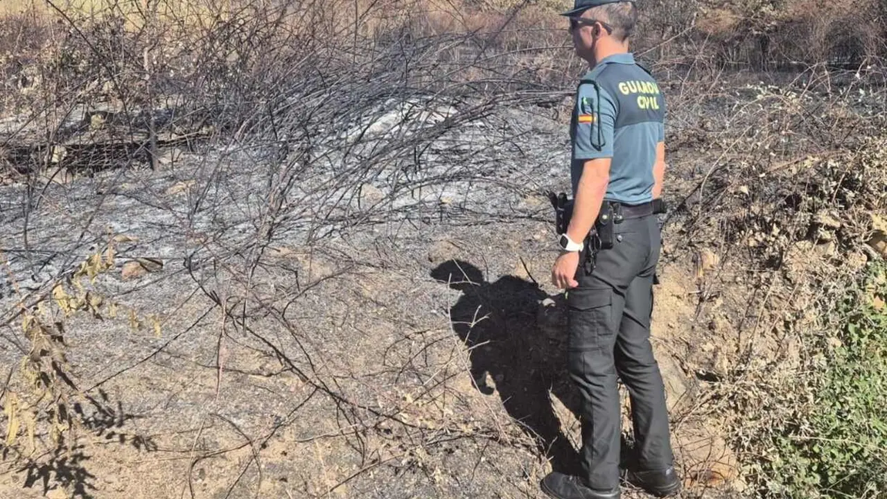 Efectivos de la Guardia Civil, durante la investigación del incendio.