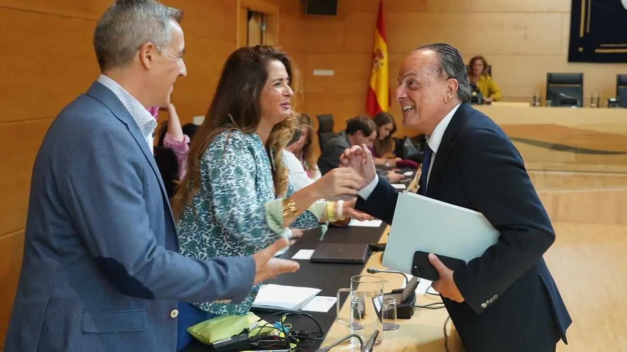 El presidente del Consejo de Cuentas de Castilla y León, Mario Amilivia, comparece ante la Comisión de Economía y Hacienda del Parlamento autonómico para presentar el Informe de fiscalización del cumplimiento de la normativa en materia de planes de igualdad por los municipios de más de 20.000 habitantes de Castilla y León.