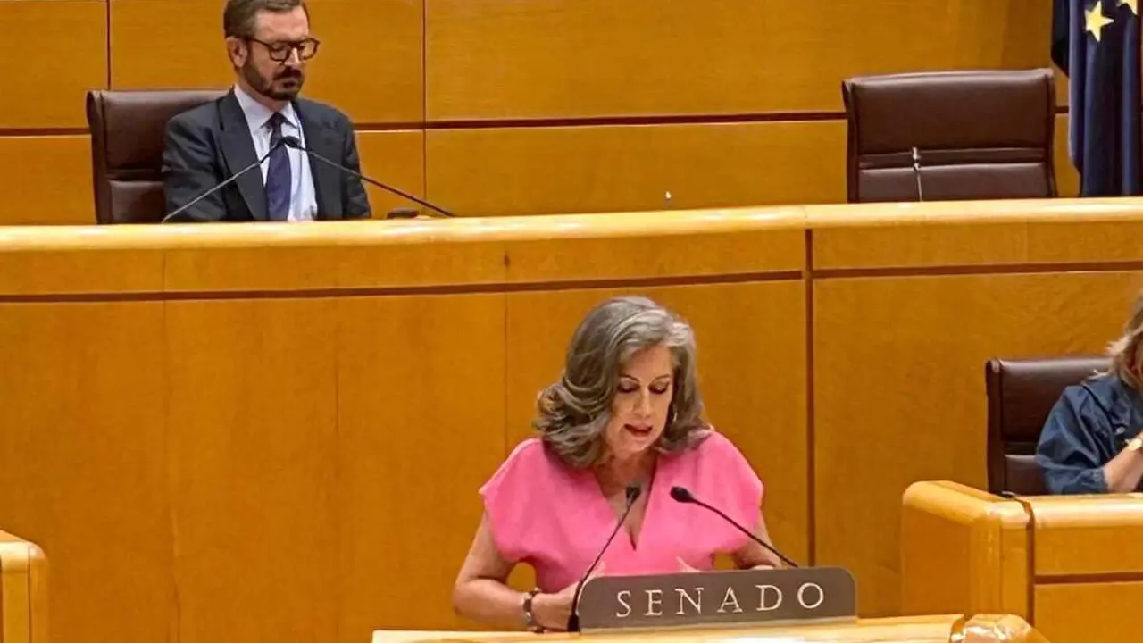 Asunción Mayo, durante su intervención en el Senado.