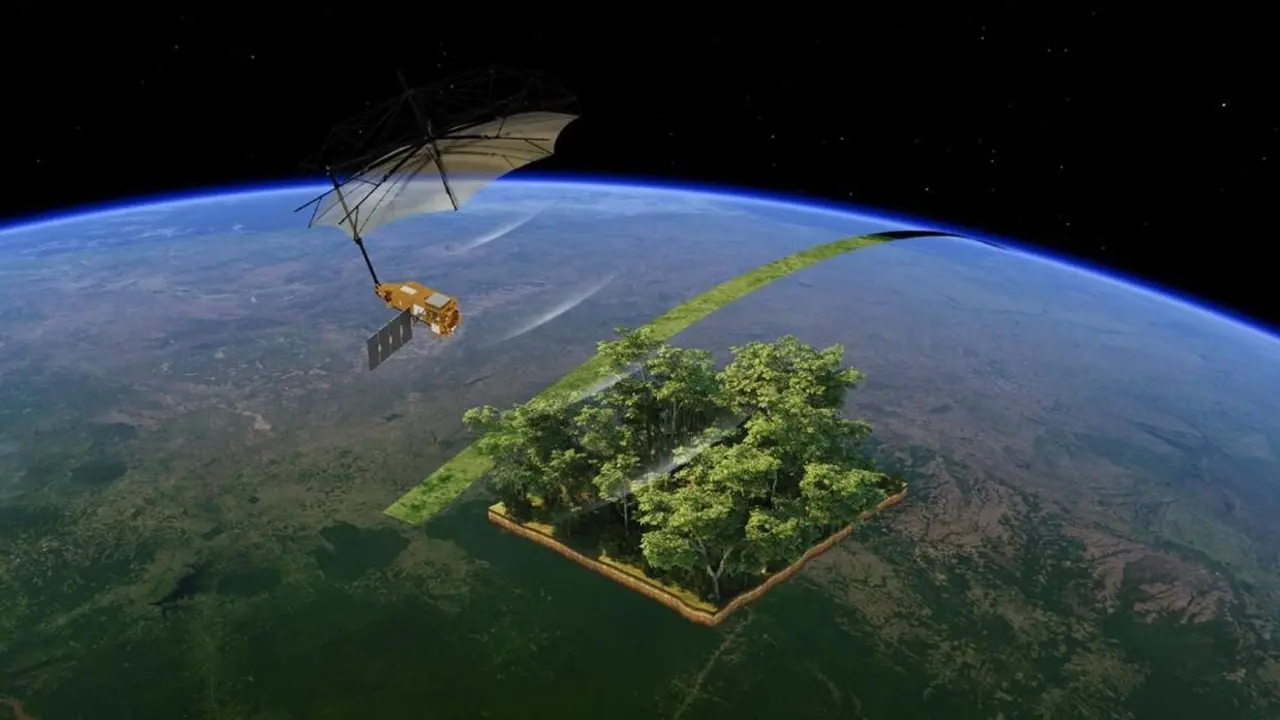 proyecto_esa_bosques 3