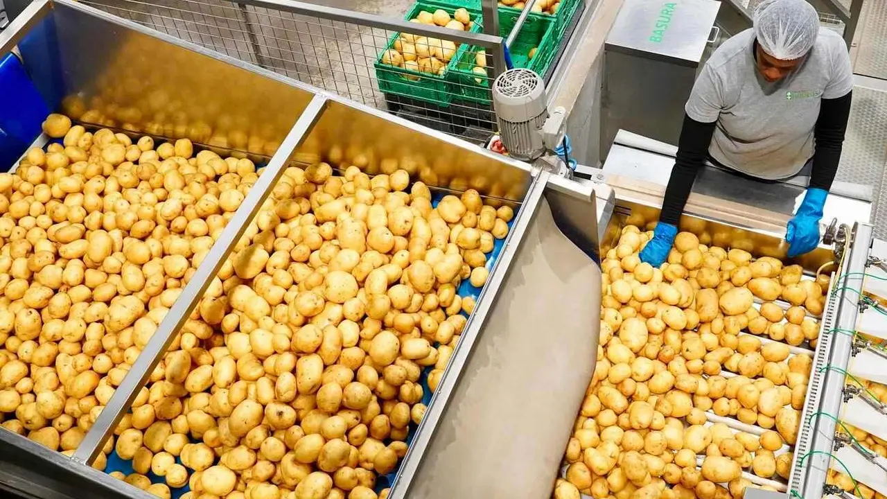 Imagen de la planta de producción de Hijolusa. Foto: Campillo