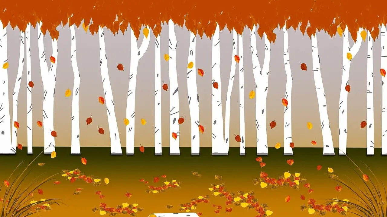 El otoño climatológico llega a la provincia de León.