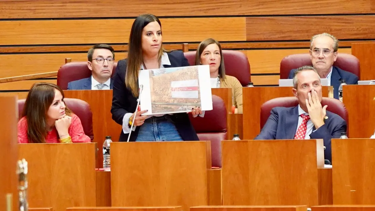Nuria Rubio, durante su intervención en el Pleno de las Cortes.
