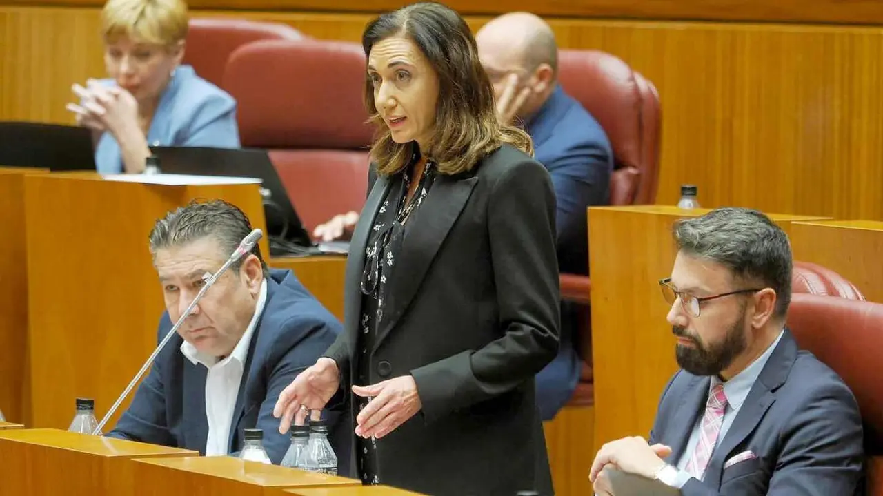 La procuradora de UPL Alicia Gallego en el pleno de las Cortes.