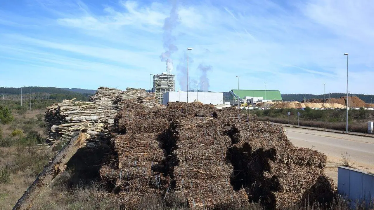 Actividad de la empresa Forestalia en el polígono industrial de Cubillos del Sil (León). Foto: César Sánchez