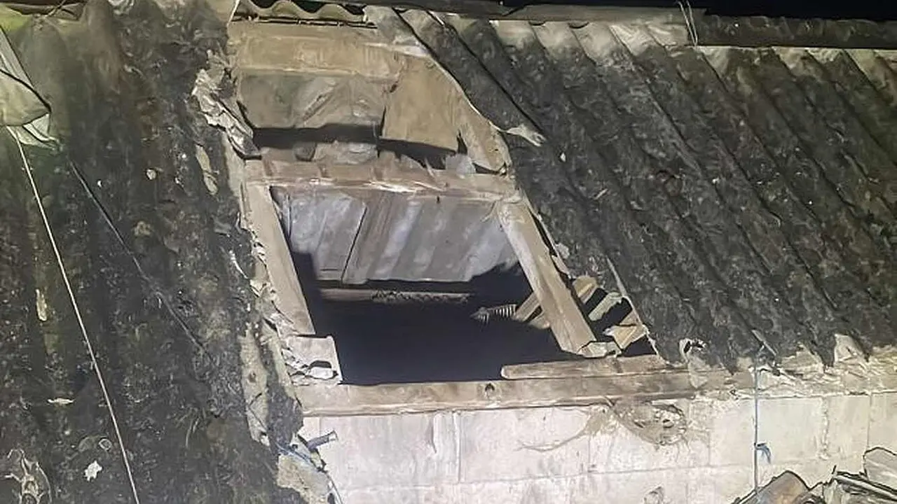 Imagen de los daños en una de las explotaciones. Foto Laciana Digital