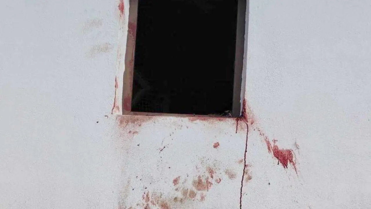 Restos de sangre tras un ataque de osos a una instalación agrícola.