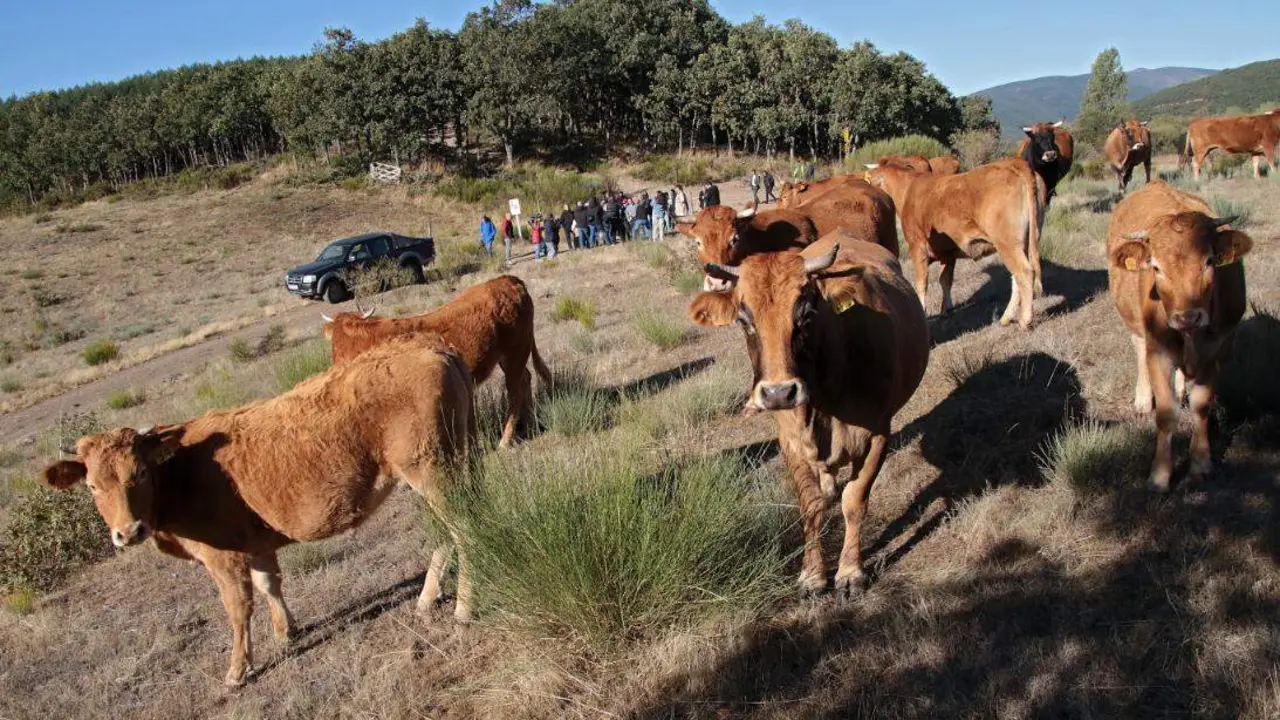 El ministro ha visitado este jueves las explotaciones agrícolas de la provincia de León. Foto: Peio García