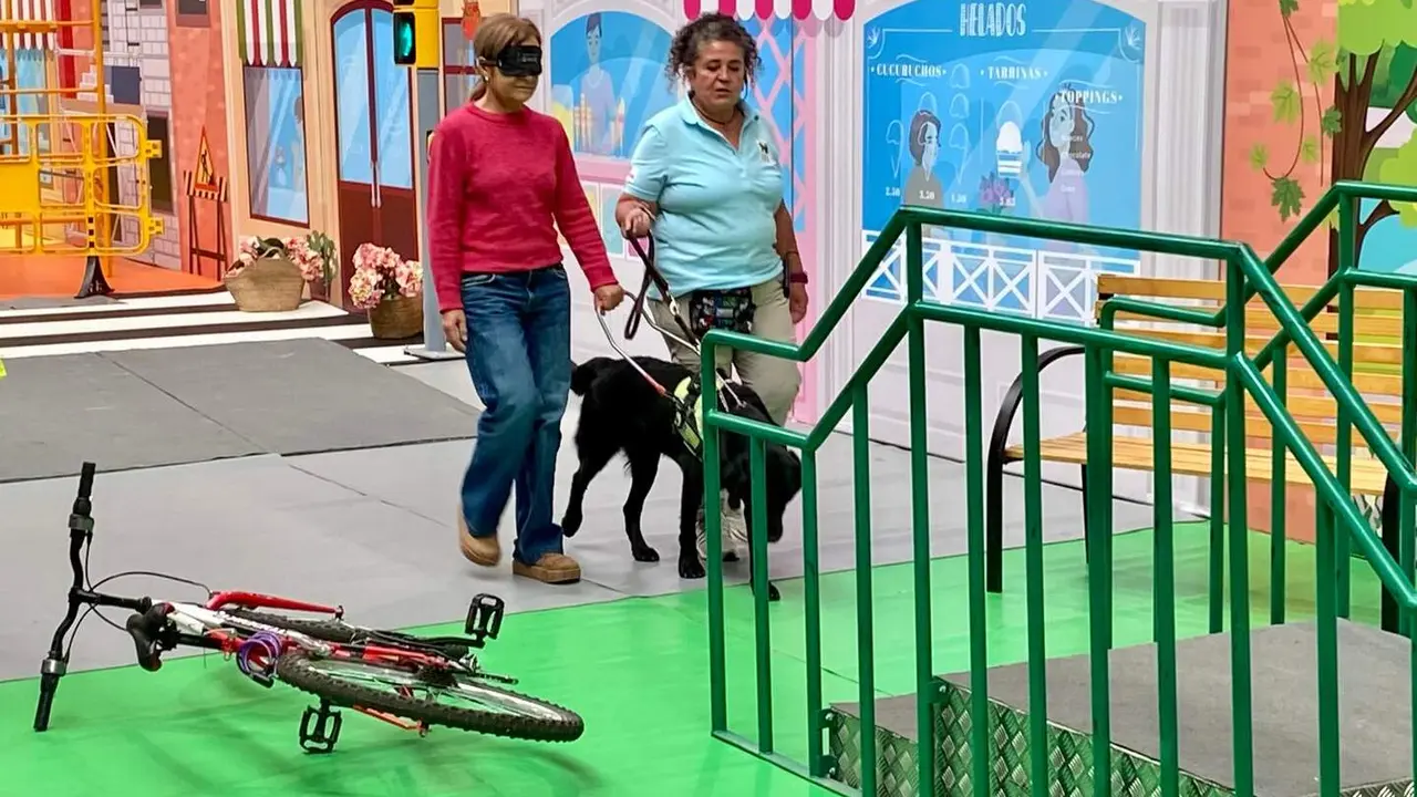 En el pabellón La Torre, más de 400 personas se acercaron este viernes para descubrir el día a día de los perros guía y el trabajo que hay detrás de su adiestramiento. La Fundación ONCE organizó la muestra bajo el lema 'Mucho más que un perro'.