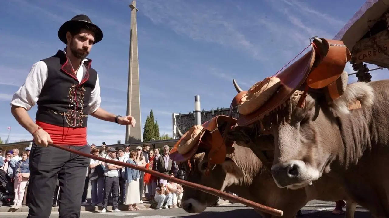 Romería de San Froilán