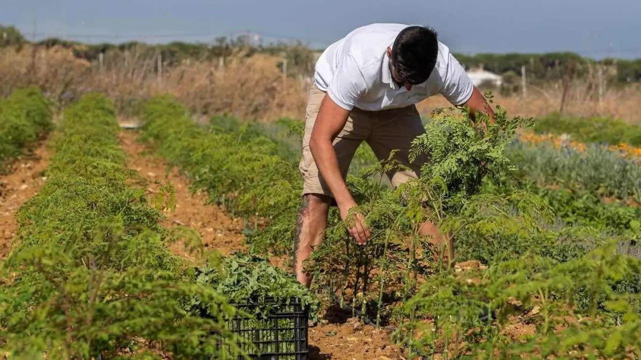 joven agricultor