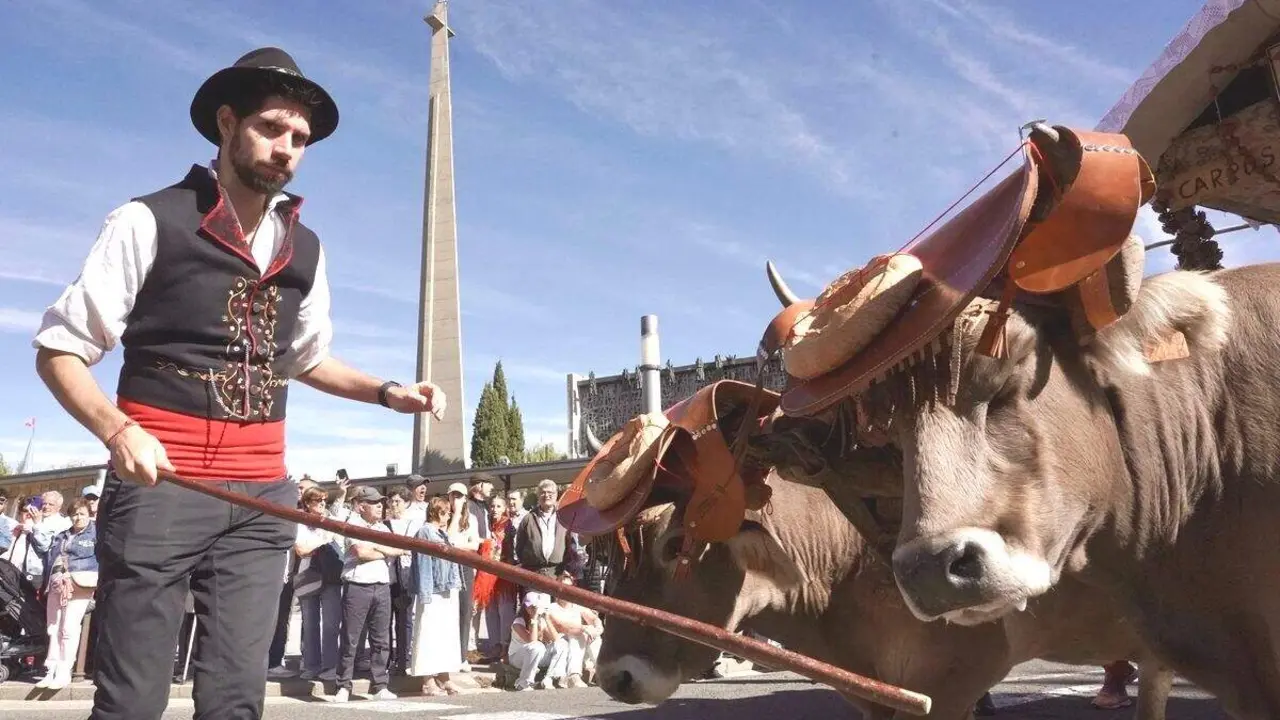 Romería de San Froilán