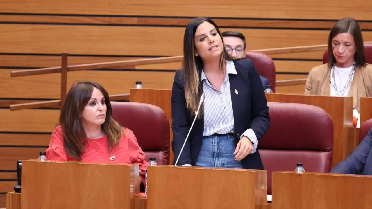Nuria Rubio, viceportavoz del Grupo Parlamentario Socialista en las Cortes de Castilla y León.