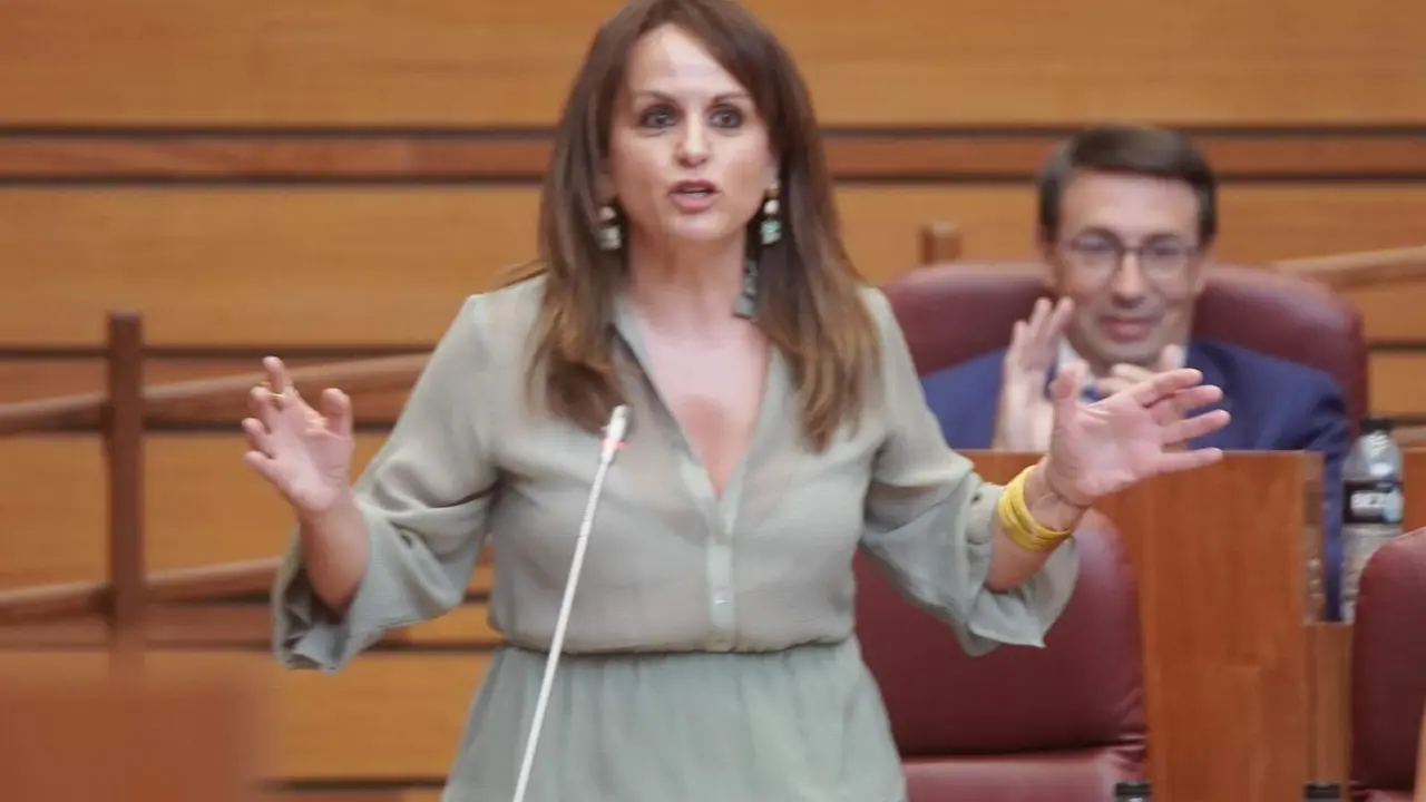 Un instante del pleno de las Cortes de este martes.