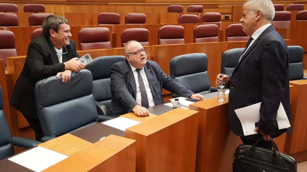 Pleno Cortes de Castilla y León (18)