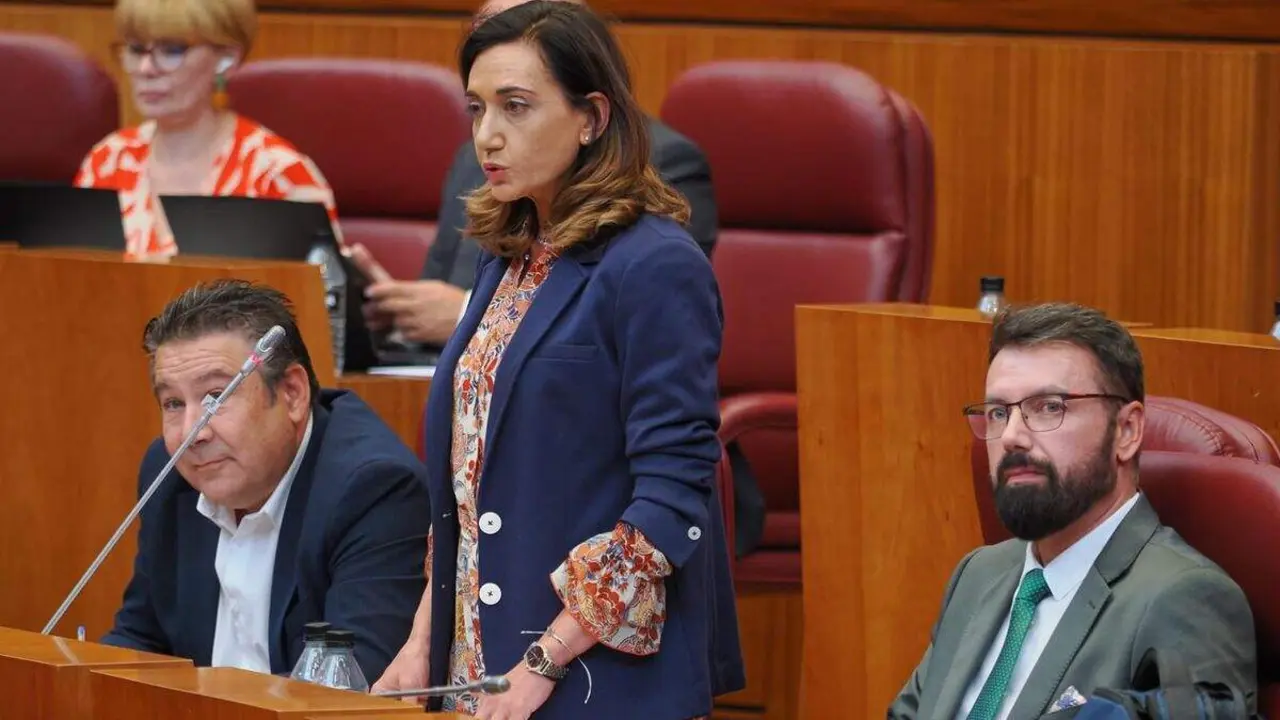 La procuradora de UPL, Alicia Gallego 22