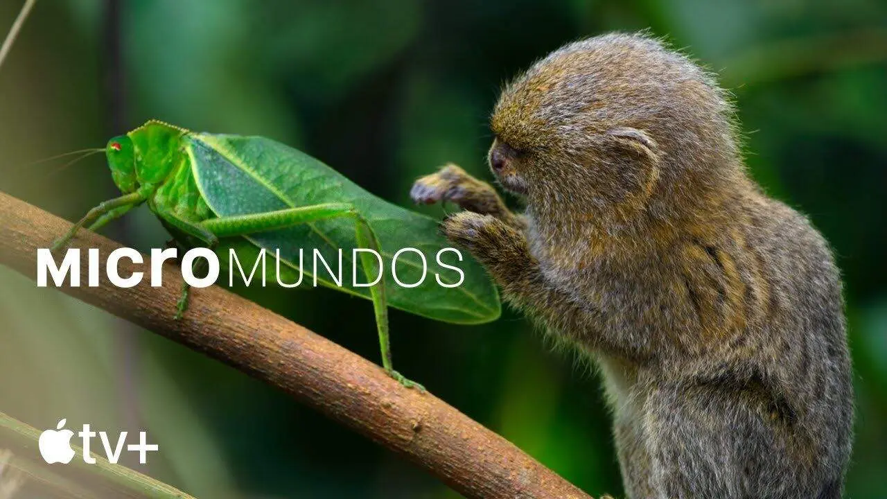 micromundos