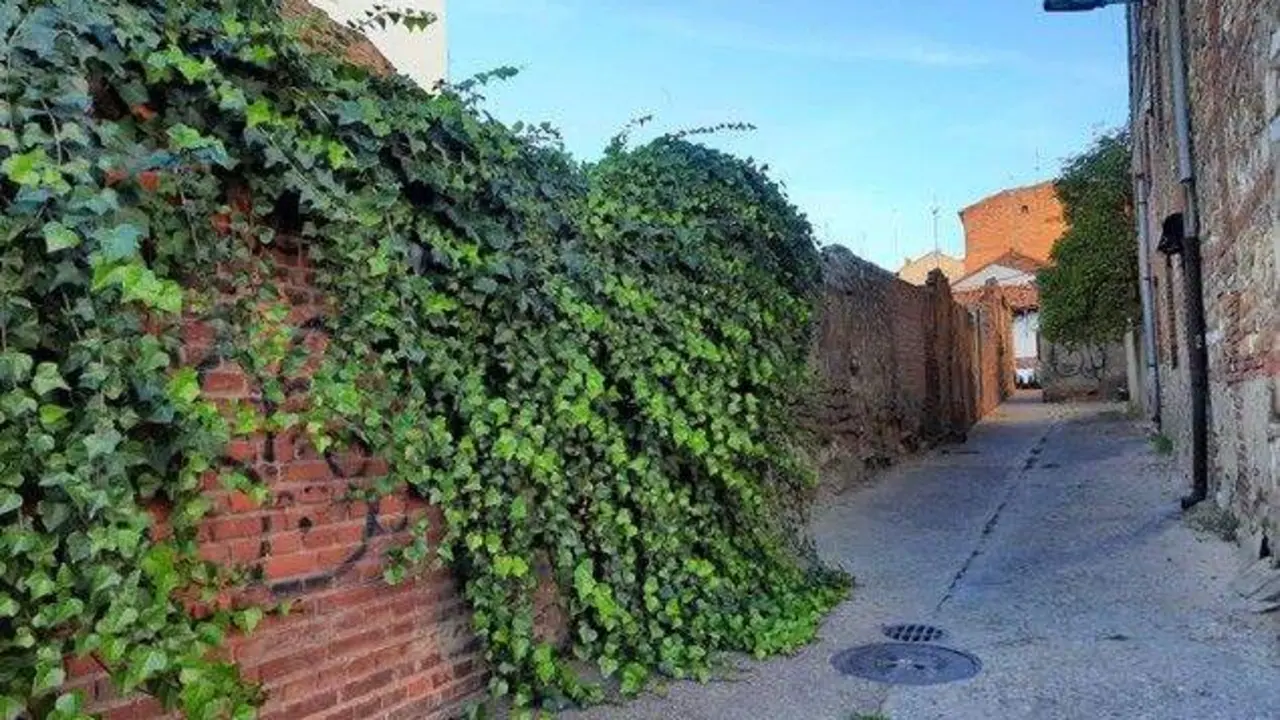 Estado actual de la calle Tres Mitras, detrás de la céntrica Iglesia de Renueva, en León.