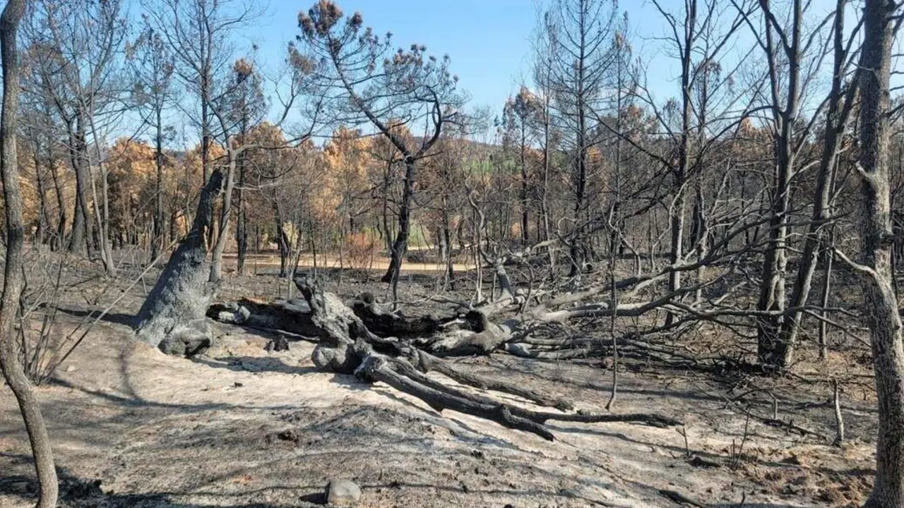 Estado de una de las zonas del suroeste de León donde se realizará la facendera. Foto: Asoc. Tierra Quemada