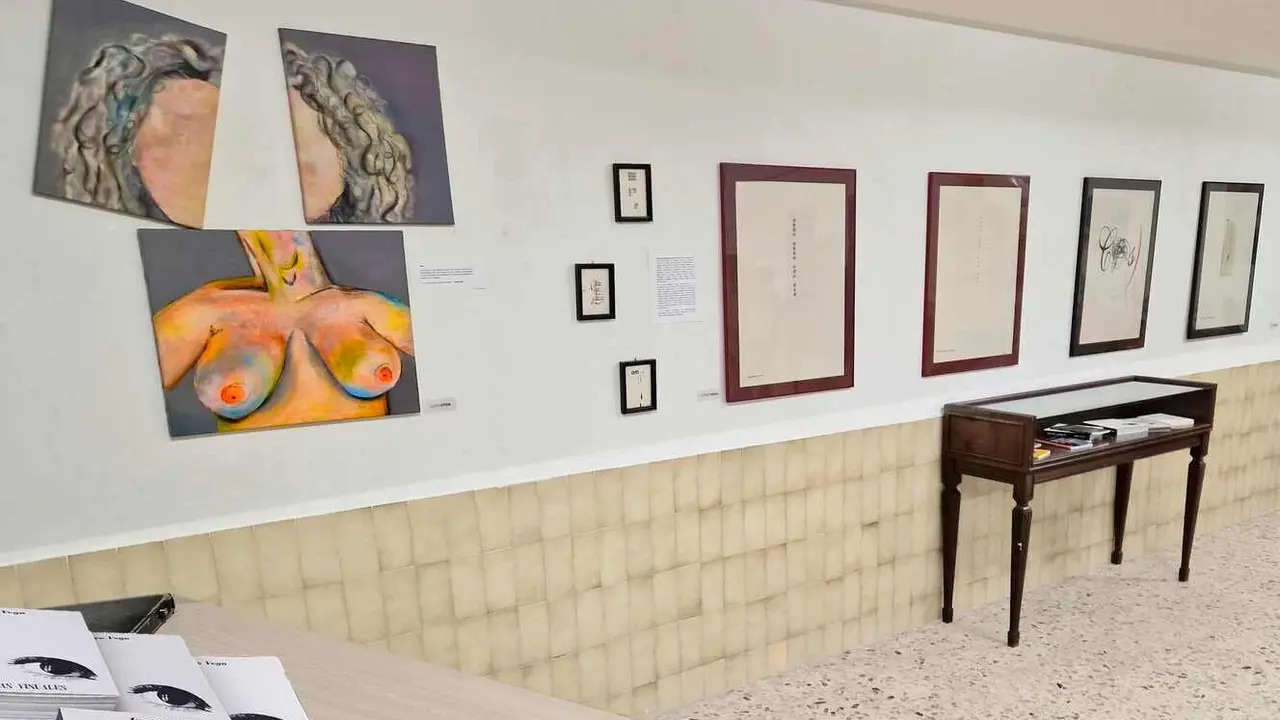 ARTE SIN BARRERAS F MERAYO 2