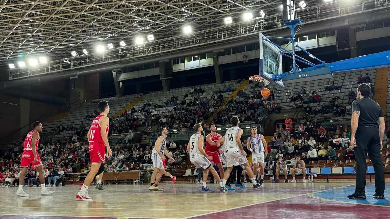 Cultural baloncesto