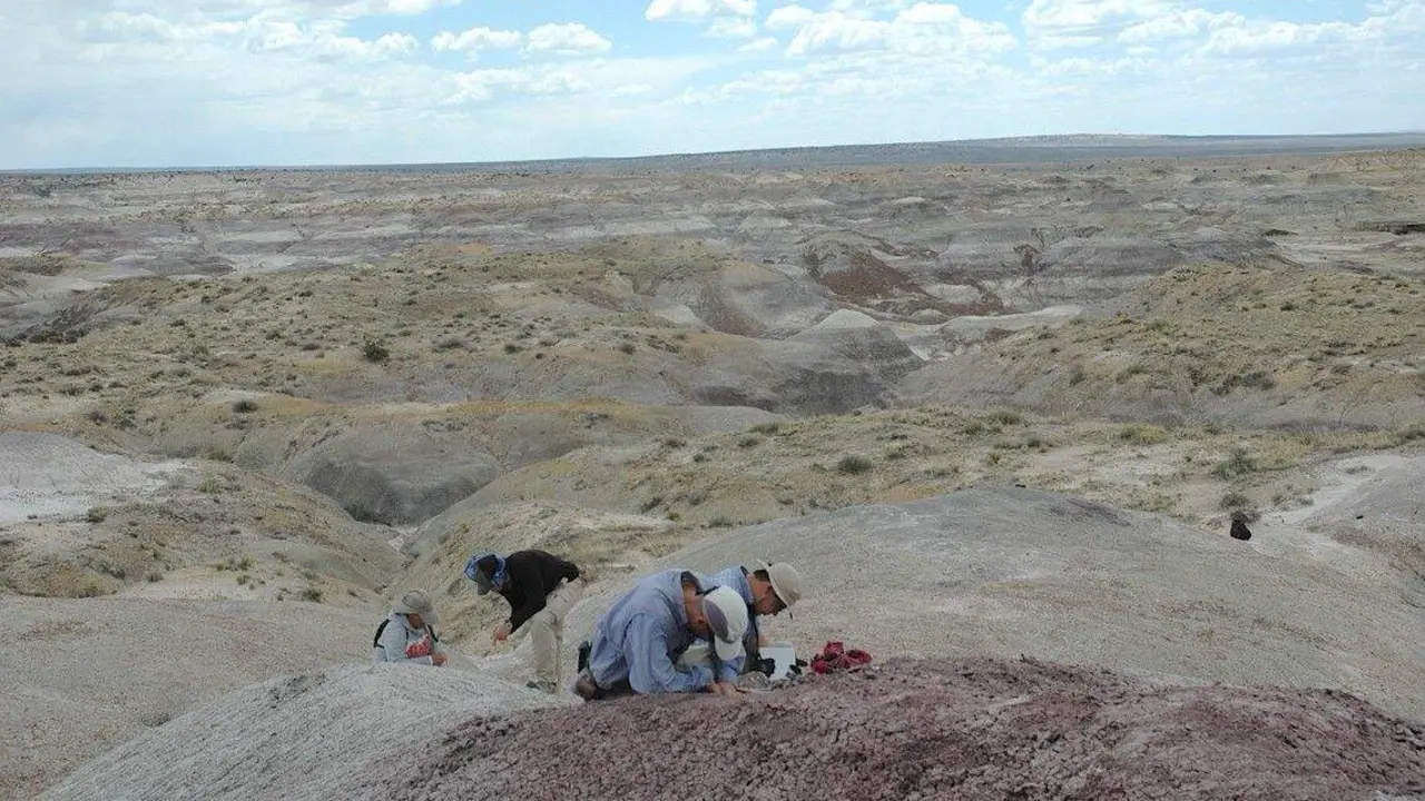 Jorge García Girón, profesor de Ecología de la Universidad de León, es coautor de un artículo en el número del 23 de octubre de la revista Science, que explora los últimos ecosistemas dominados por dinosaurios en la Cuencia de San Juan, al noroeste de Nuevo México