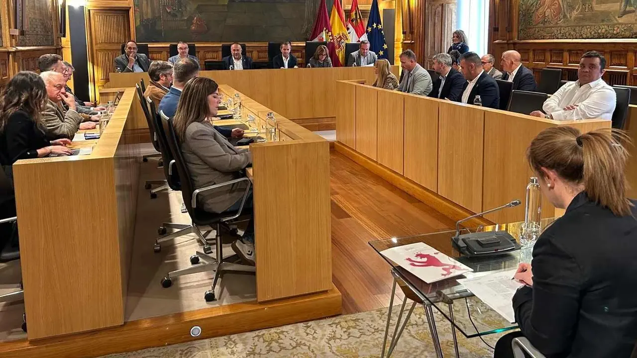 Imagen del pleno exprés celebrado este viernes.