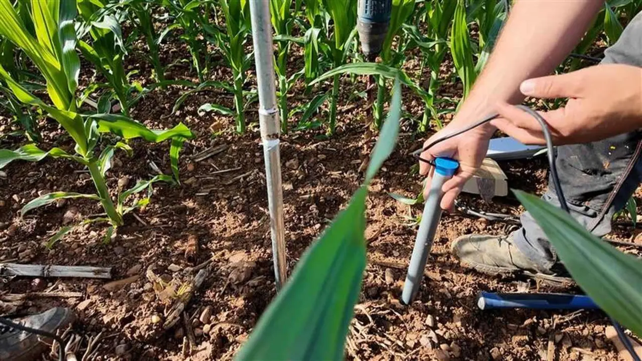 Instalación sonda de humedad