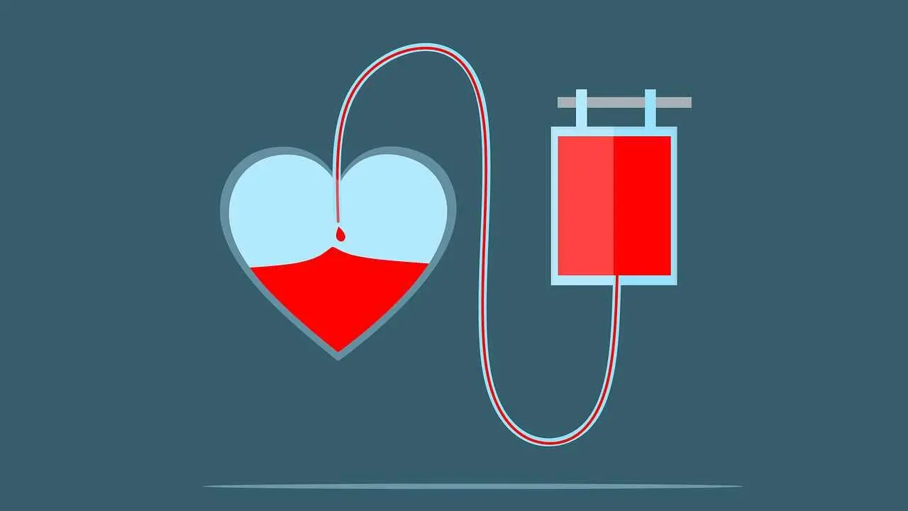 Programación de actos de donación de sangre en la provincia de León.