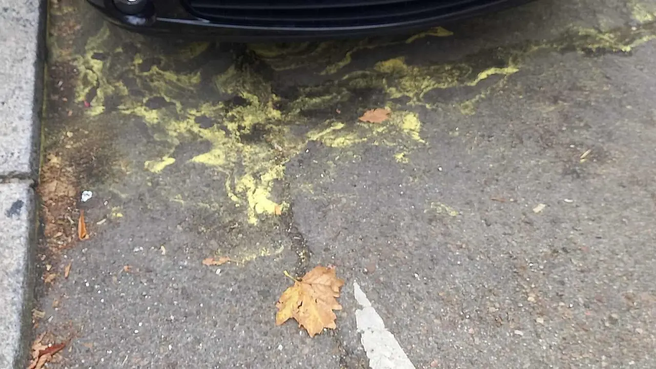 El barrio de San Claudio se tiñe de amarillo cada vez que llueve. Los vecinos de León capital denuncian  la aparición recurrente de manchas amarillas en las calles del barrio La explicación no existe a este fenómeno si bien se apunta al polen de las coníferas del Paseo de la Condesa como posible causa. Fotos: A.V.