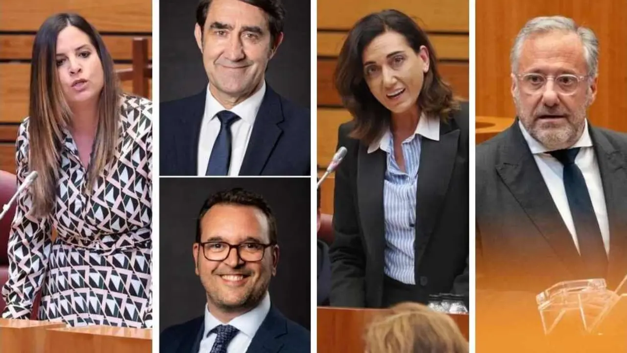 Nuria Rubio (PSOE), Quiñones o Gavilanes (PP), Alicia Gallego (UPL) y Carlos Pollán (VOX), los llamados a ocupar el 'número 1' en sus respectivas formaciones.